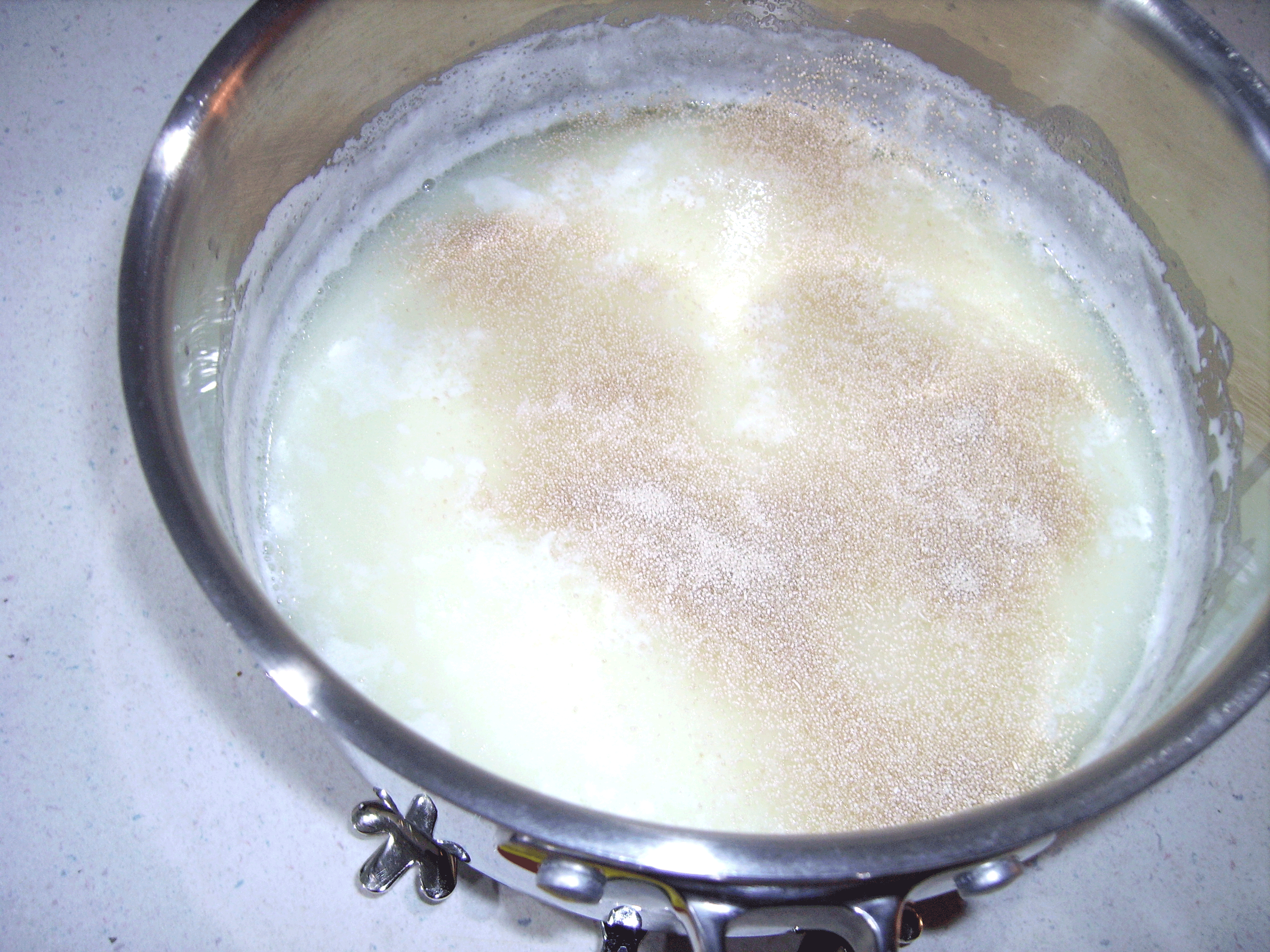 yeast-in-pan