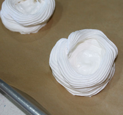Singer Shanna Shells Meringue Shells - Shanna Hatfield