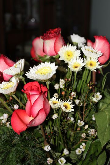 roses