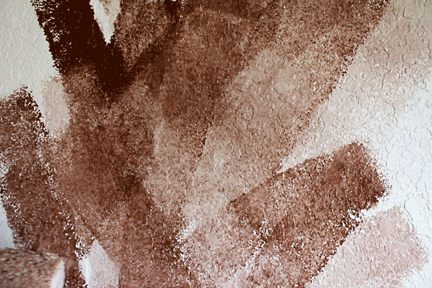 paint-first-roll