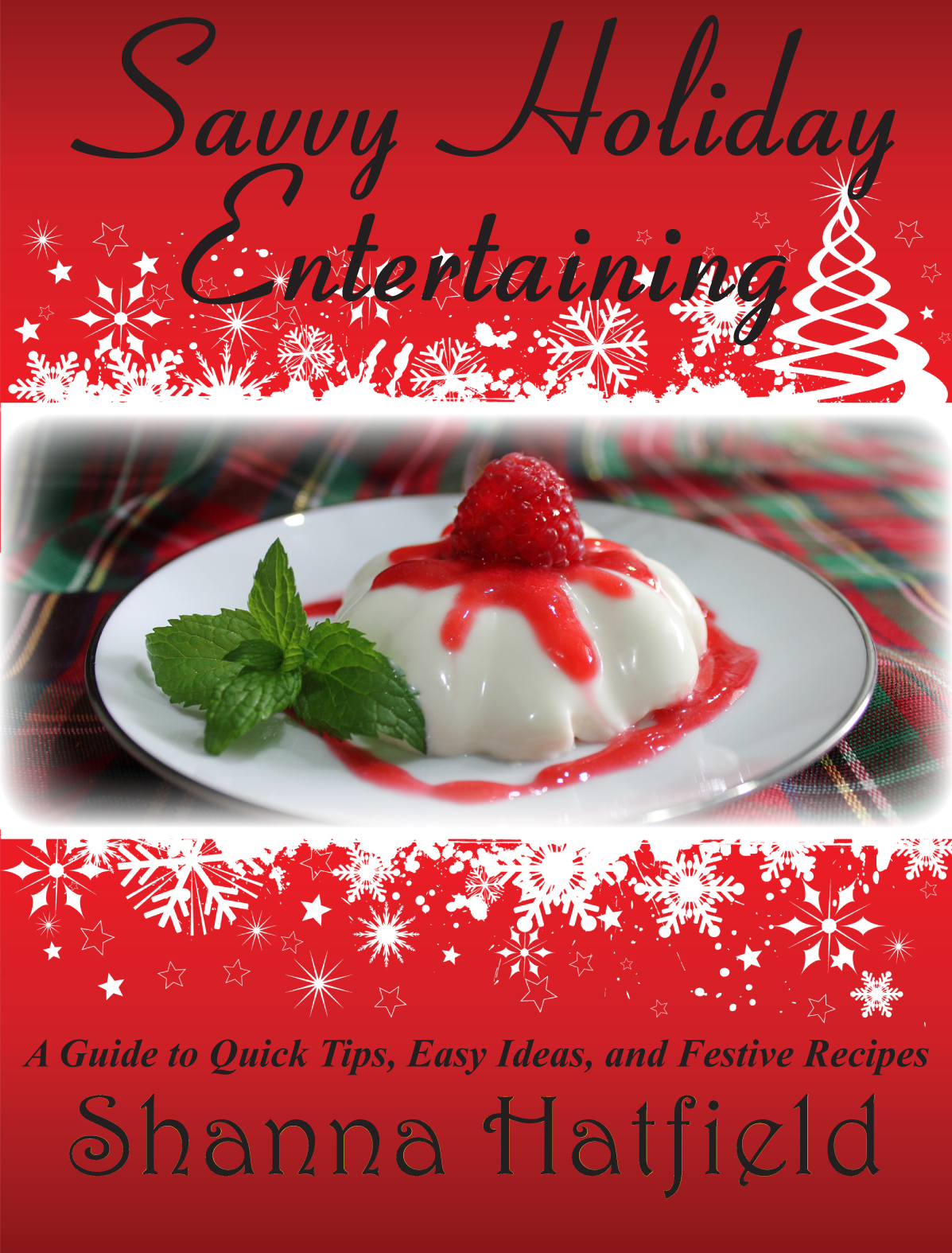 book cover 1