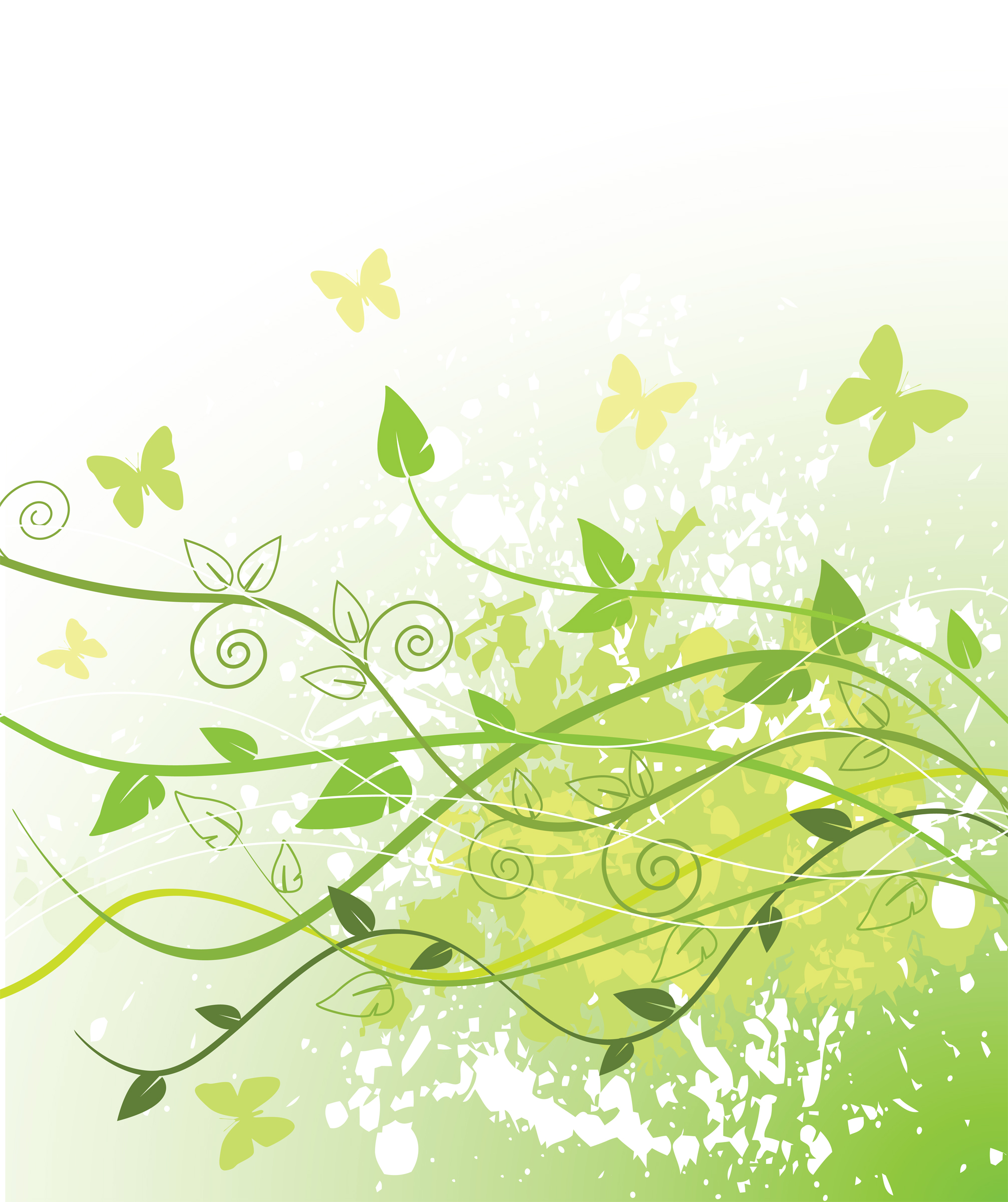 butterflies