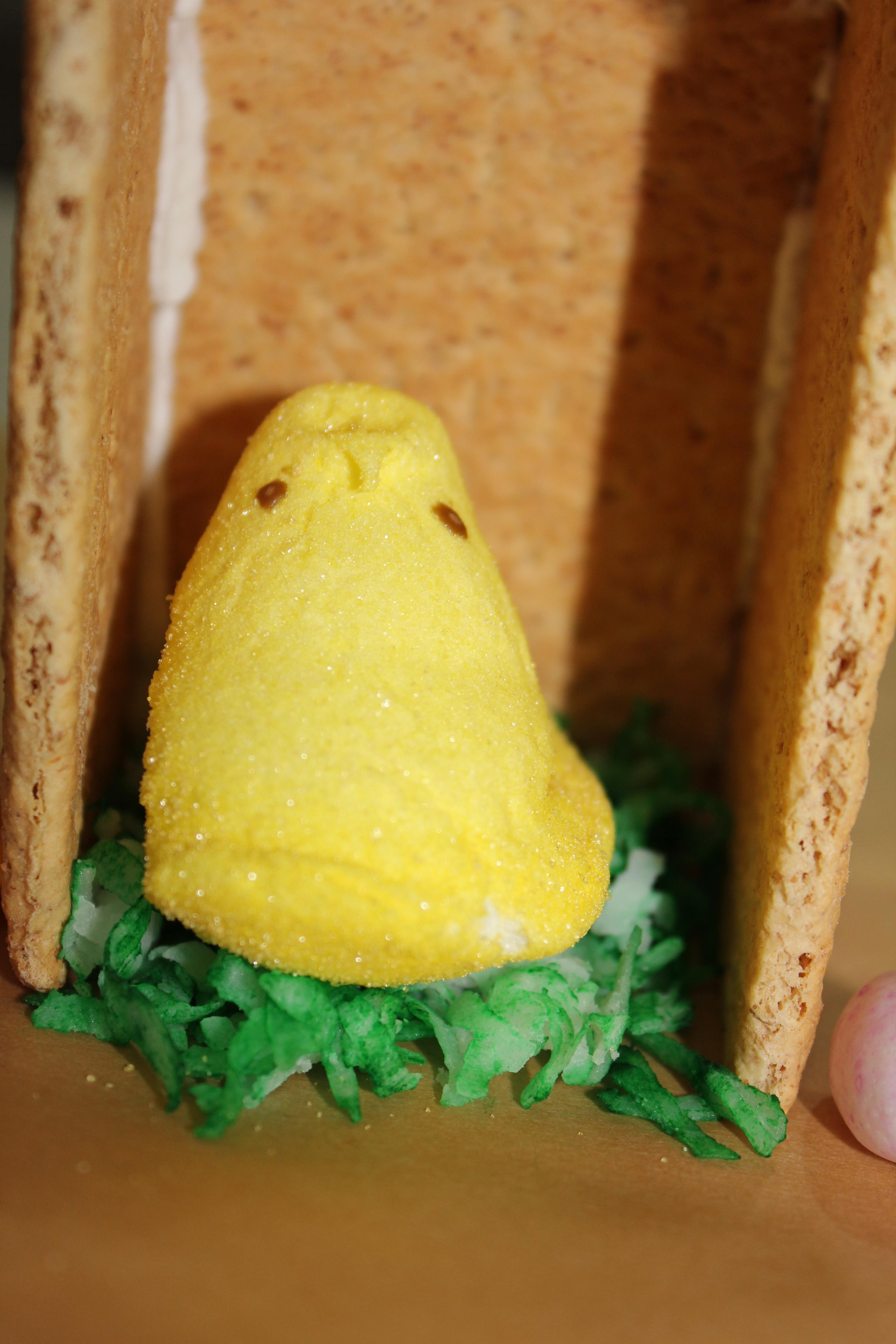 peep house 1