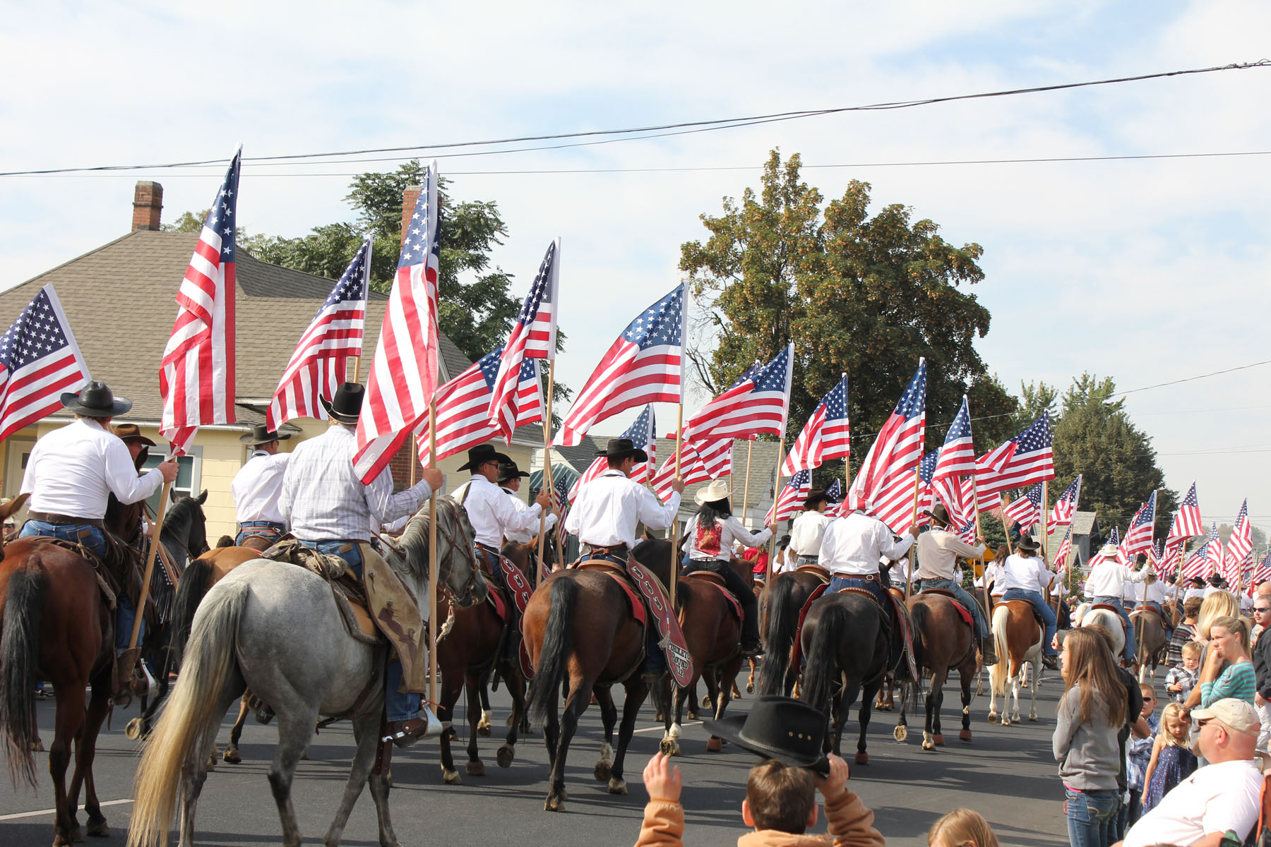 parade flags back