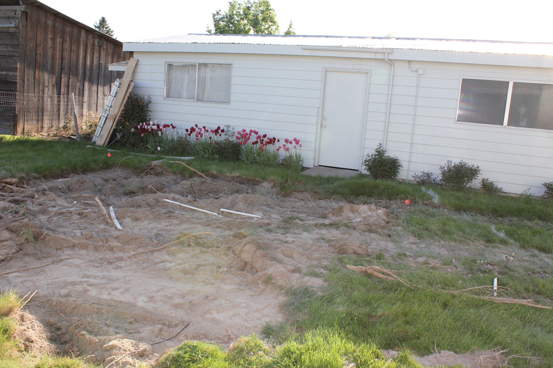 septic broken sprinkler pipe and grass