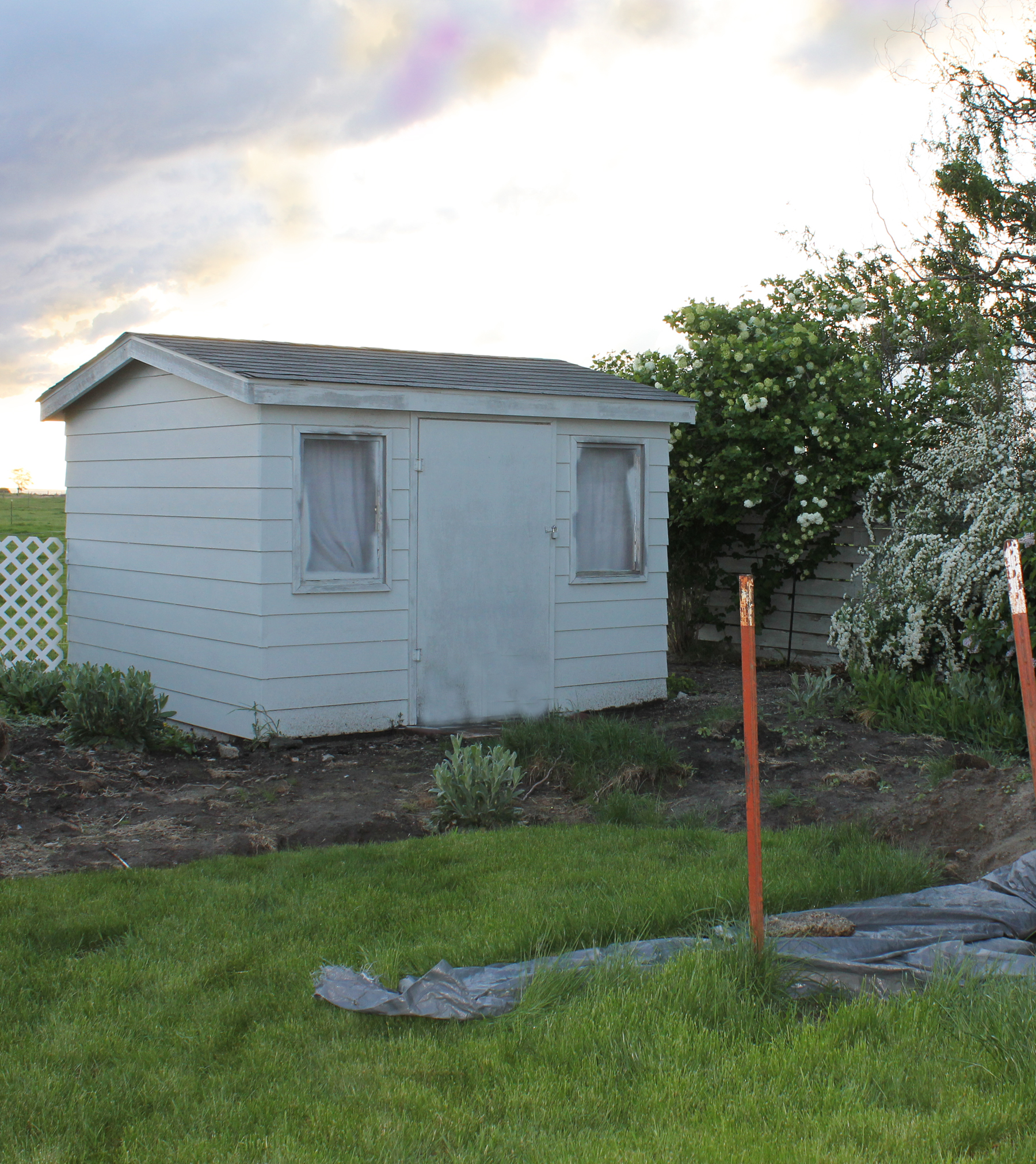 septic shed