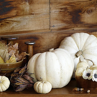 white pumpkin barnwood