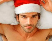 sexy santa