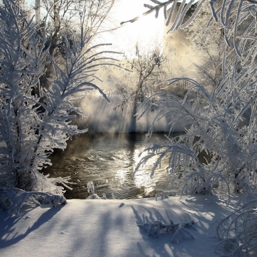 winter scene