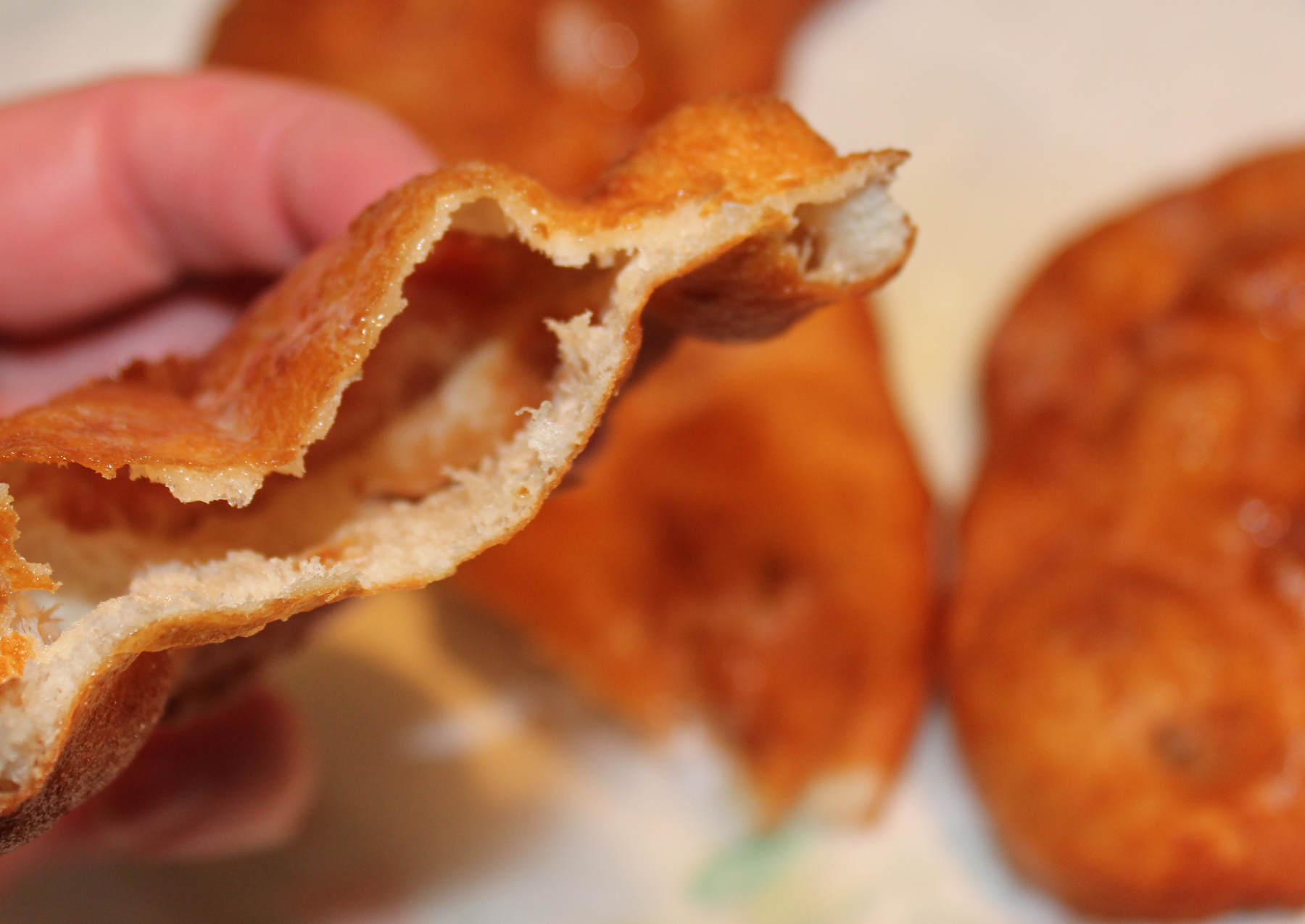 bread- fried and hollow