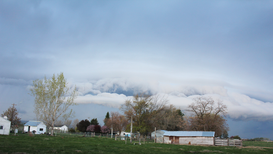 storm 3