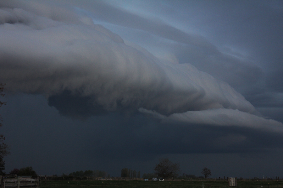 storm 6