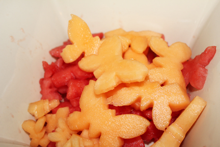 butterfly fruit salad melons