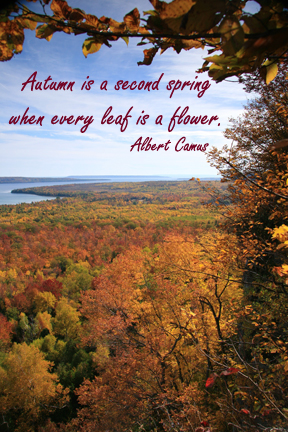 Huron lake in the fall