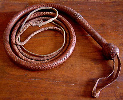 bullwhip