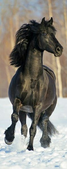 Romeo