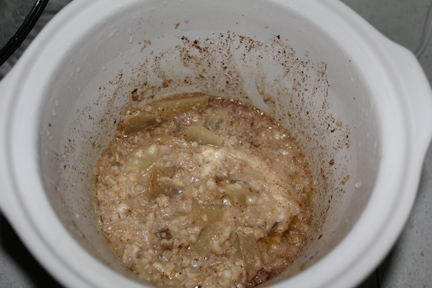 Grease the inside of your slow cooker with butter or shortening. Add ingredients and cook on low for eight hours (overnight). Captain Cavedweller got to the oatmeal before I could take photos this morning, which is why the pot is half-empty.