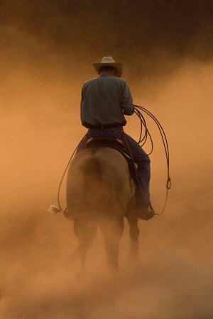 cowboy dust