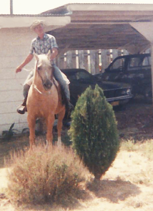 dad on doc