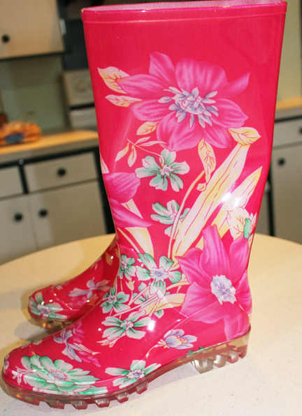 Farm Girl boots
