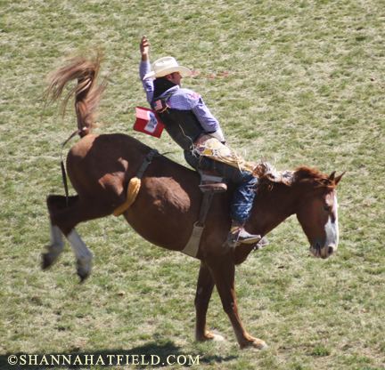 bareback3 bobby mote