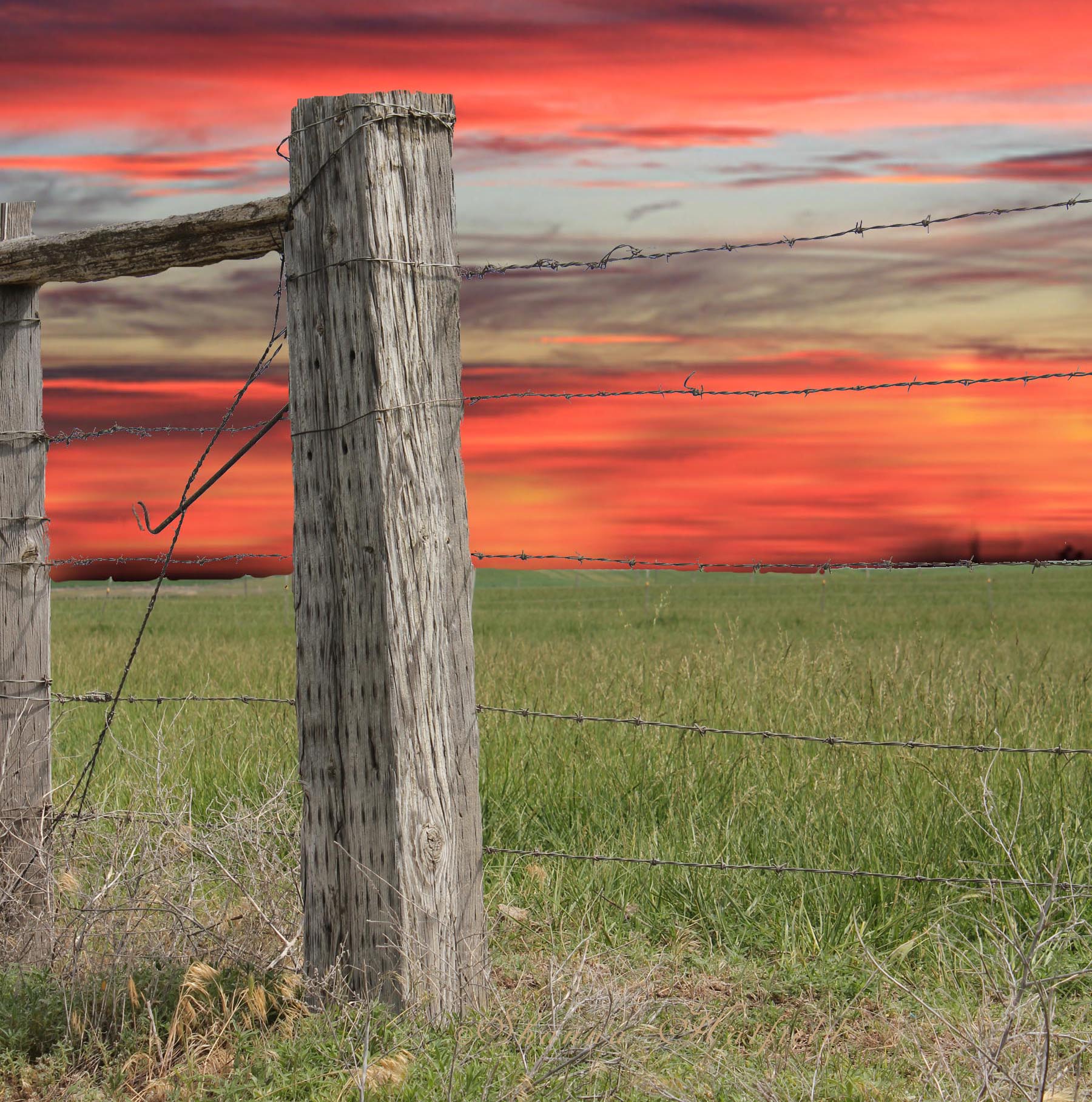 Square 2 fence post with sunset
