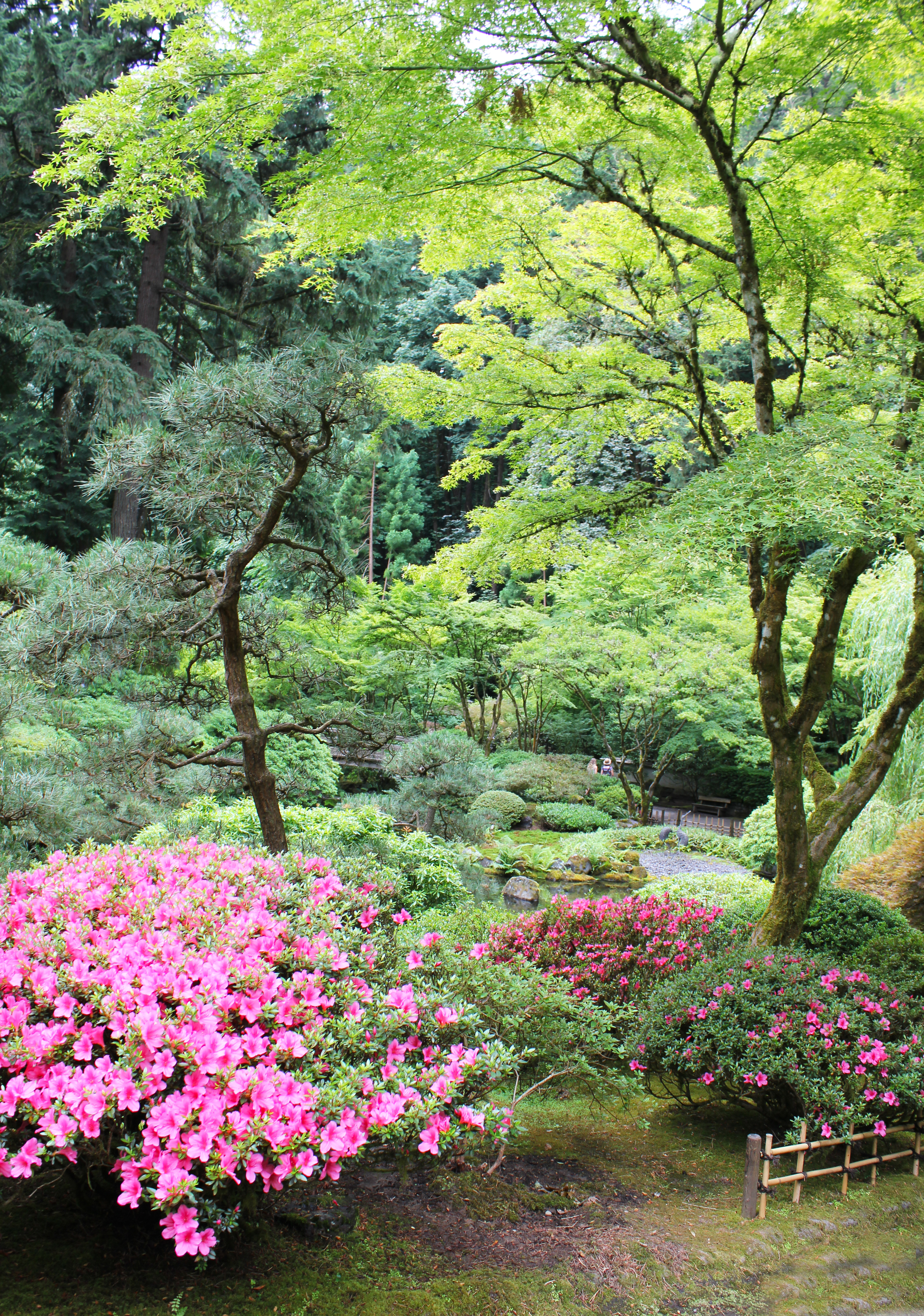 A japanese Garden