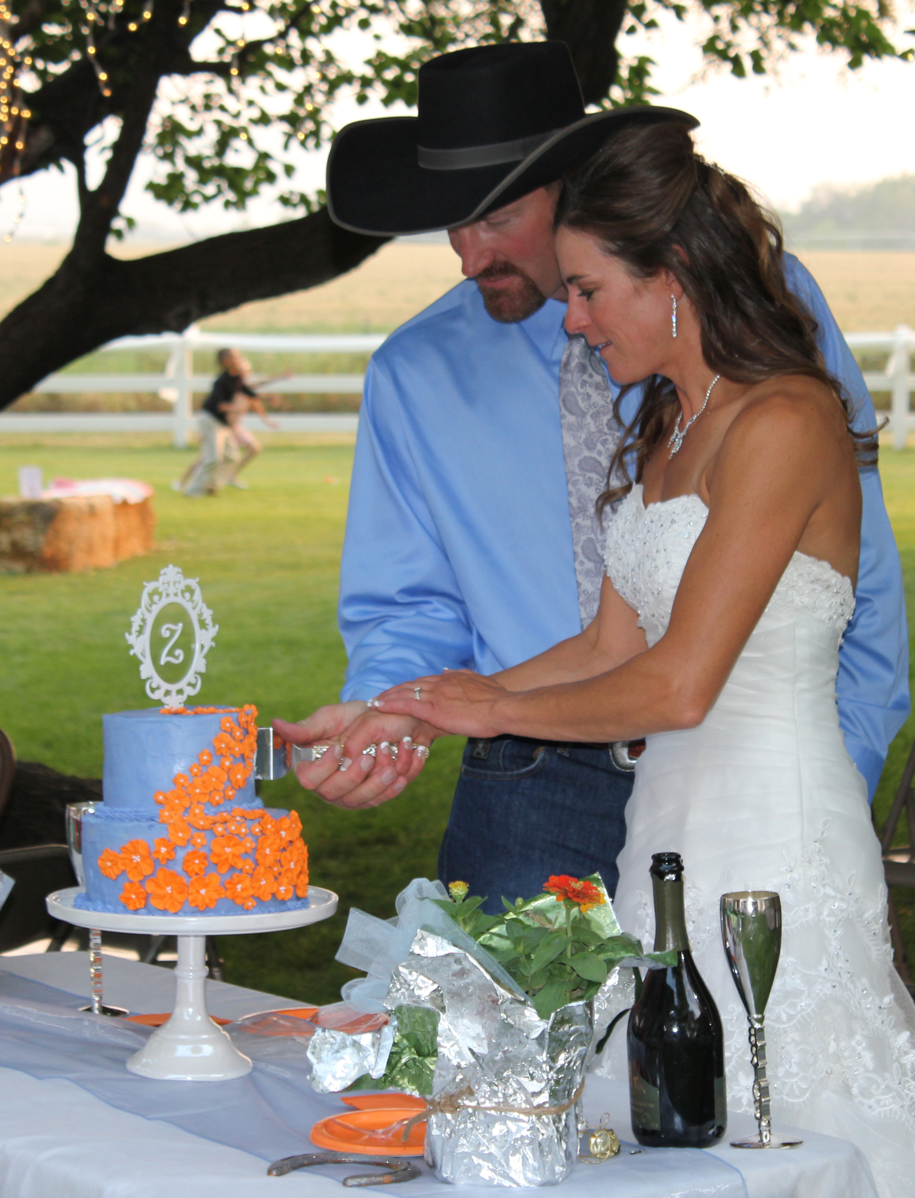 Cake Cut 1