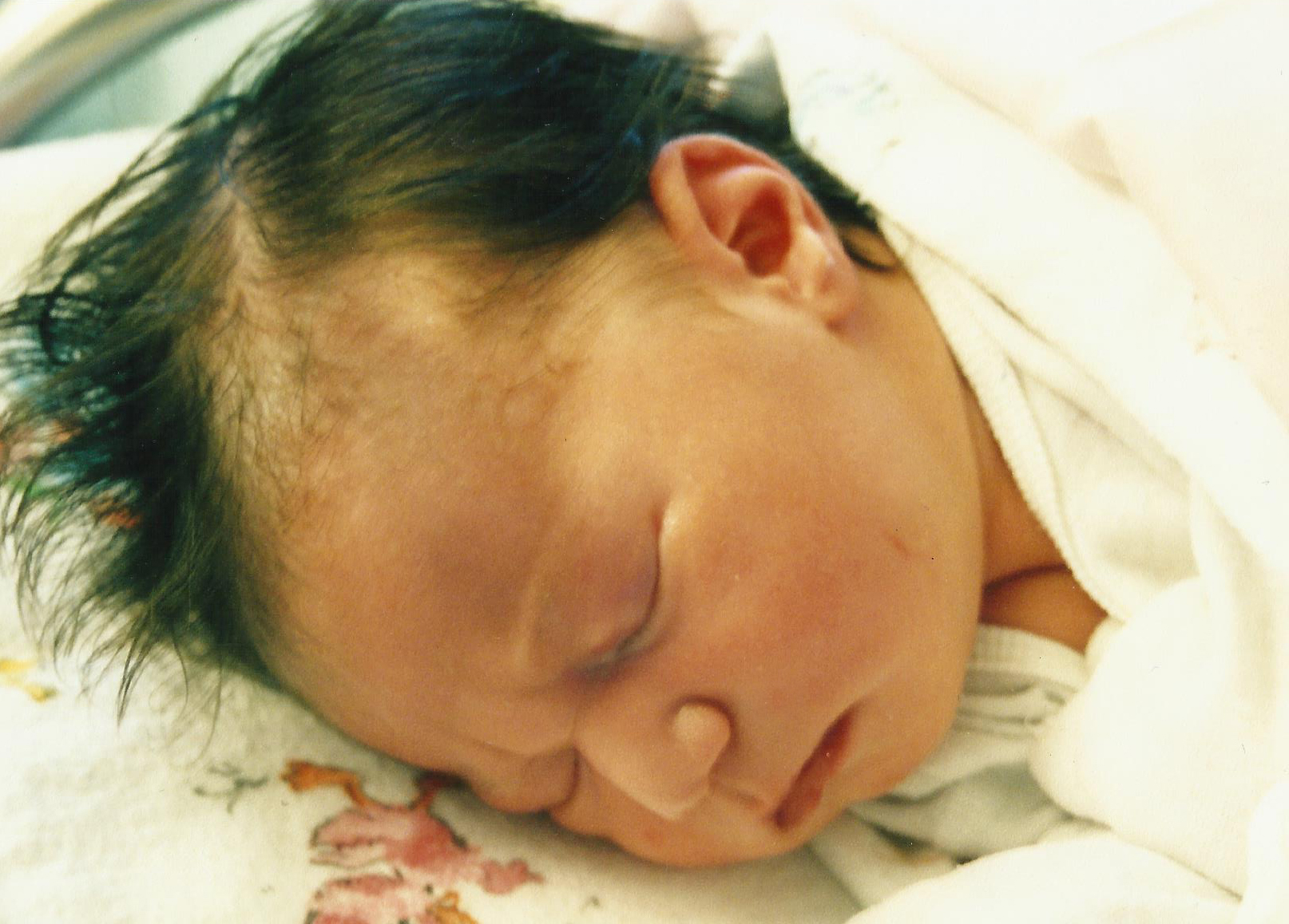 Jessie newborn