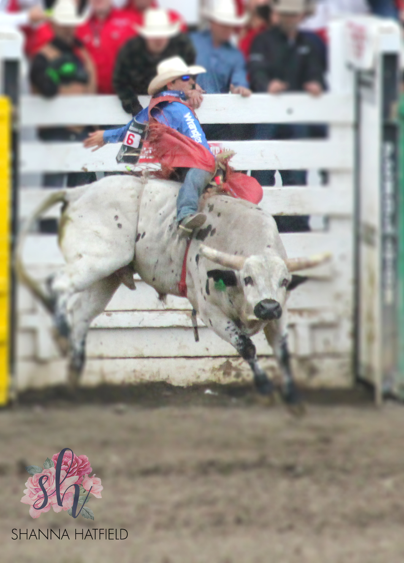 Pendleton Round-Up 2021 – Shanna Hatfield